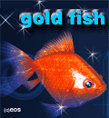 gold fish!